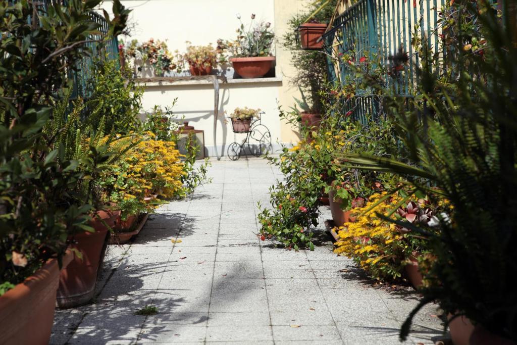 Stella Elsa Hotel Rome Bagian luar foto